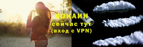сатива Армянск
