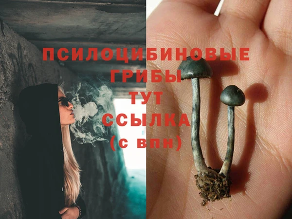 кокс Аркадак